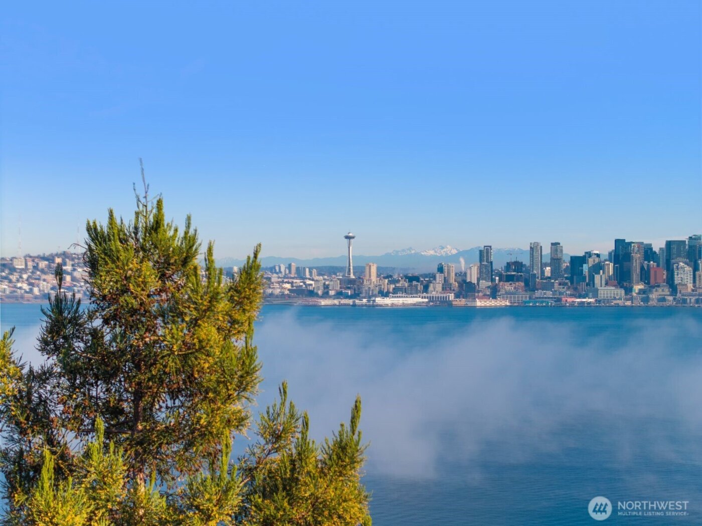 1717 Ferry Avenue SW, Seattle, WA 98116