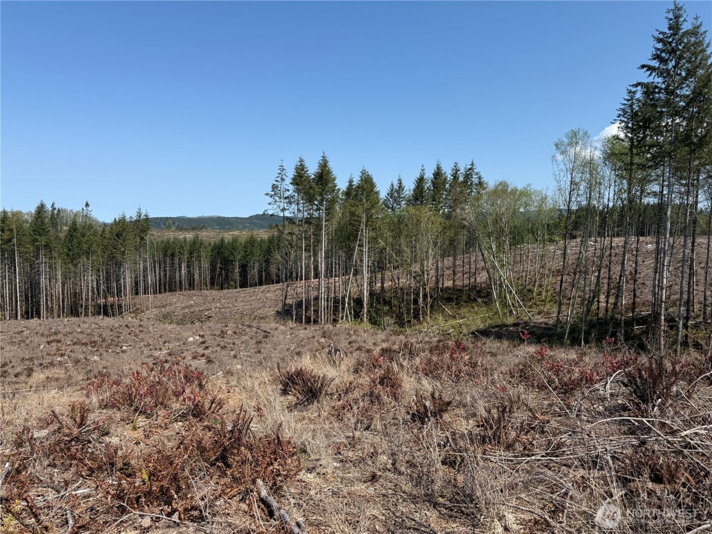 3 XX Centralia Alpha Road , Onalaska, WA 98570