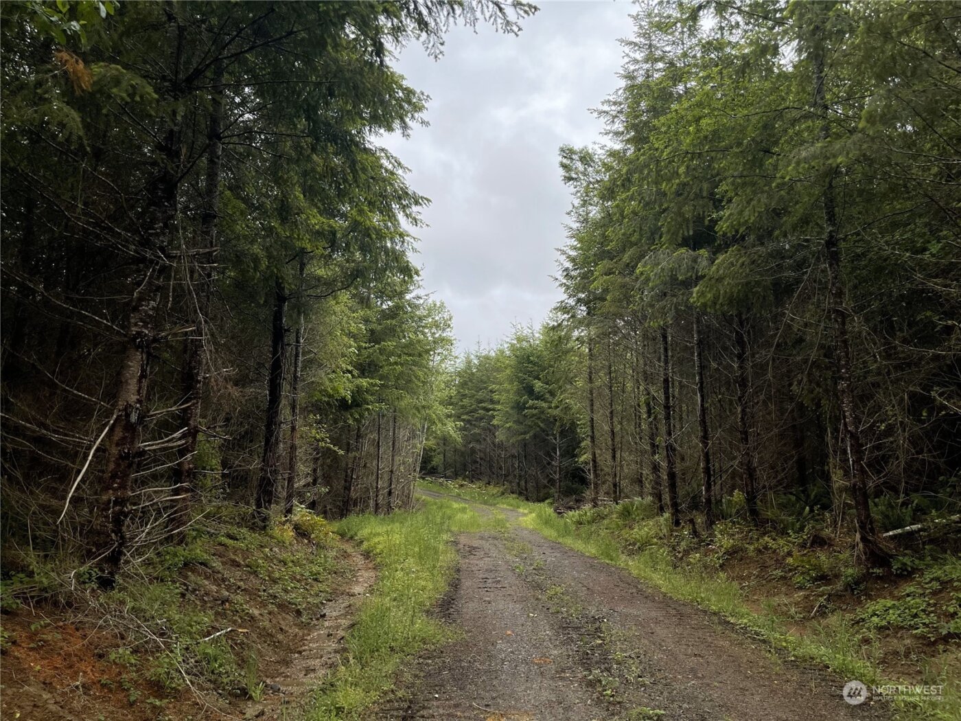 3 XX Centralia Alpha Road , Onalaska, WA 98570