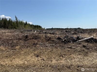 3 XX Centralia Alpha Road , Onalaska, WA 98570 - Photo 7