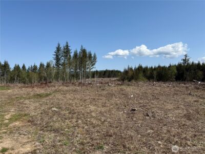 3 XX Centralia Alpha Road , Onalaska, WA 98570 - Photo 9