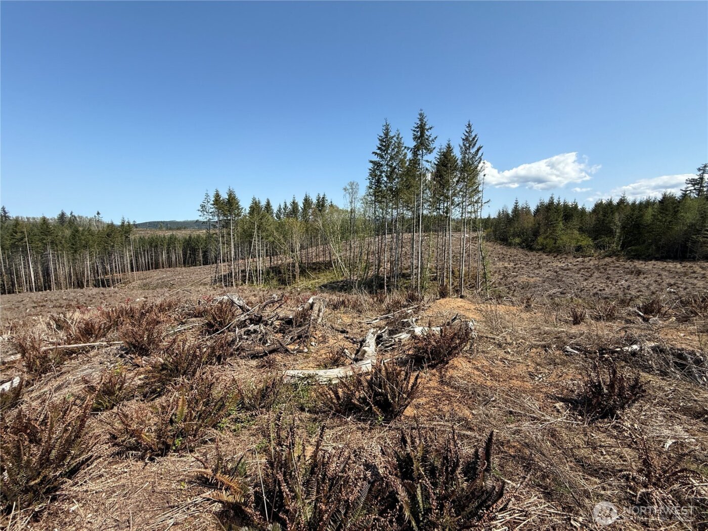 3 XX Centralia Alpha Road , Onalaska, WA 98570