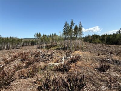 3 XX Centralia Alpha Road , Onalaska, WA 98570 - Photo 10