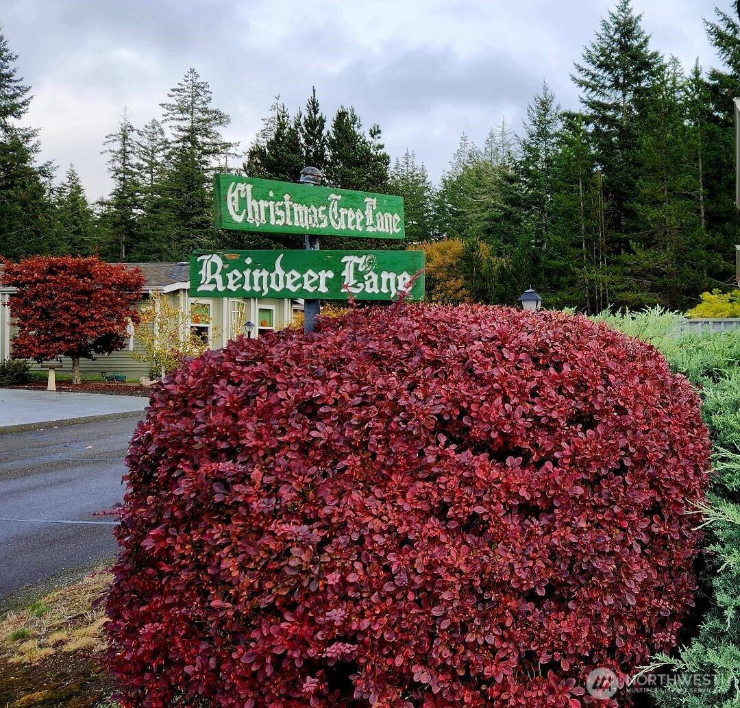 19 Christmas Tree Lane , Shelton, WA 98584