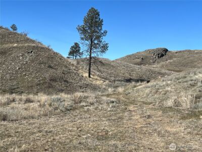 0 NNA Soap Lake Road , Malott, WA 98829 - Photo 12