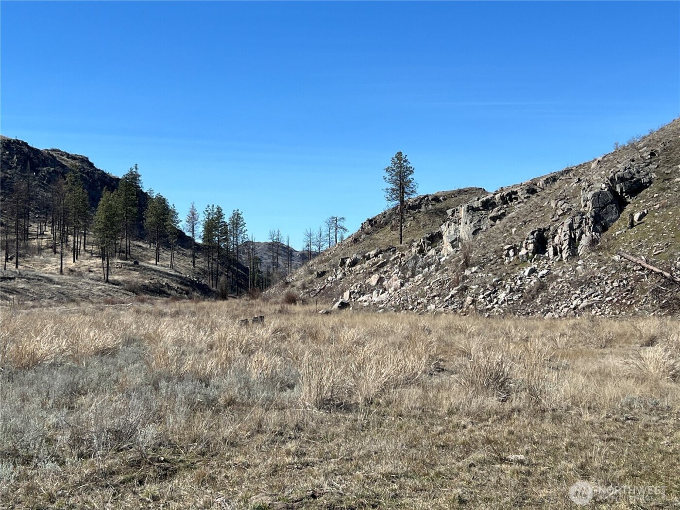0 NNA Soap Lake Road , Malott, WA 98829