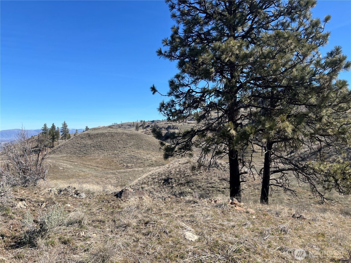 0 NNA Soap Lake Road , Malott, WA 98829