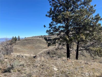 0 NNA Soap Lake Road , Malott, WA 98829 - Photo 3