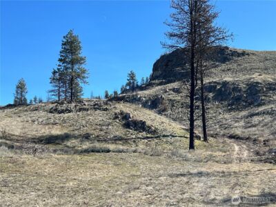 0 NNA Soap Lake Road , Malott, WA 98829 - Photo 10