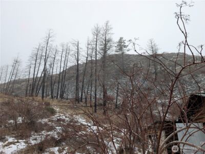 20 Rainbow Road , Oroville, WA 98844 - Photo 23