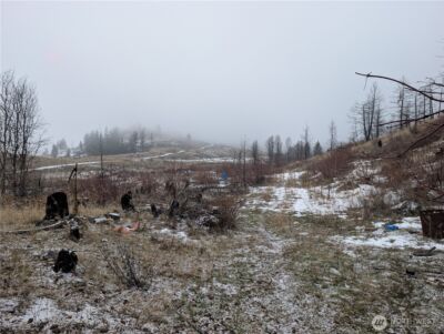 20 Rainbow Road , Oroville, WA 98844 - Photo 28