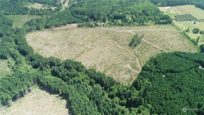 1068 Salmon Creek Rd , Mossyrock, WA 98564 - Photo 11