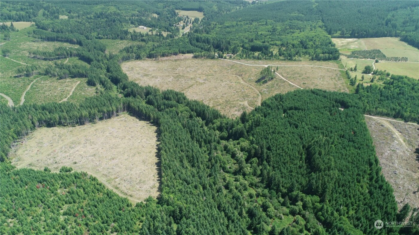 1068 Salmon Creek Rd , Mossyrock, WA 98564