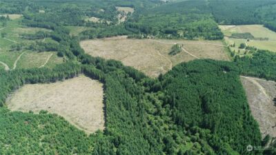 1068 Salmon Creek Rd , Mossyrock, WA 98564 - Photo 12