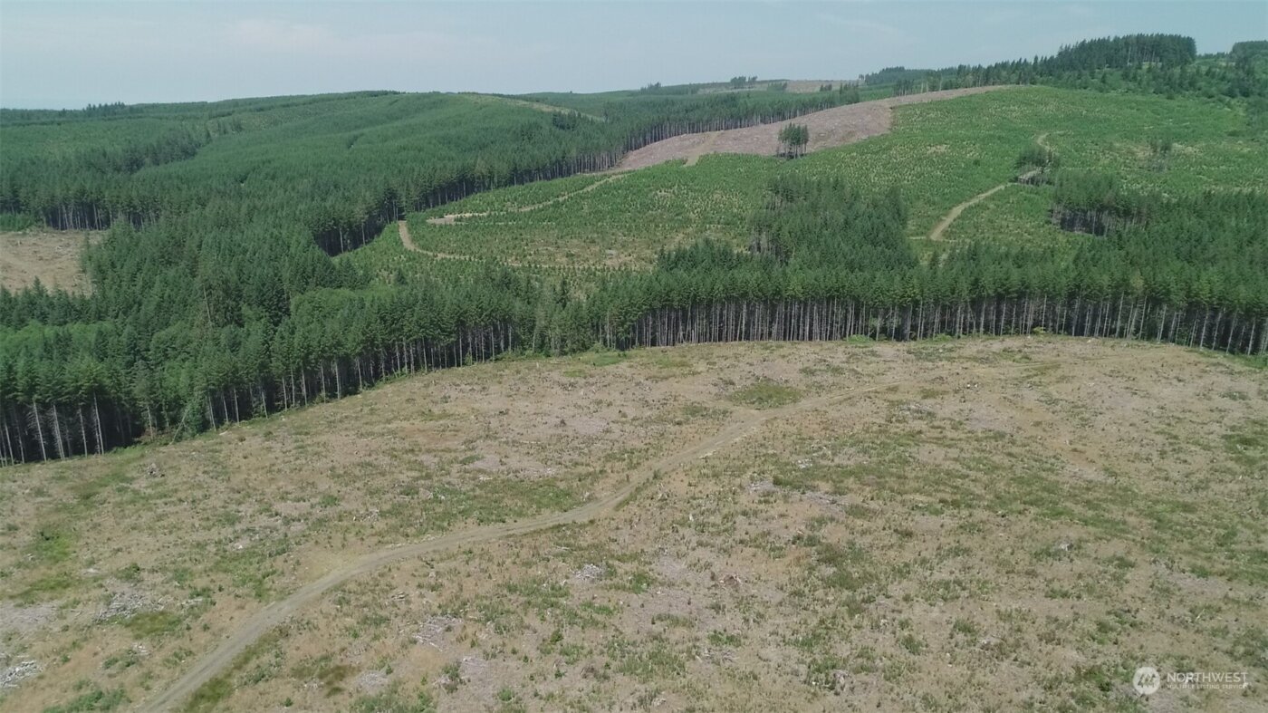 1068 Salmon Creek Rd , Mossyrock, WA 98564