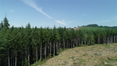 1068 Salmon Creek Rd , Mossyrock, WA 98564 - Photo 14