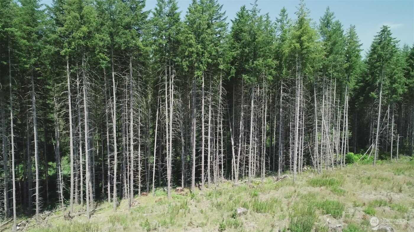 1068 Salmon Creek Rd , Mossyrock, WA 98564