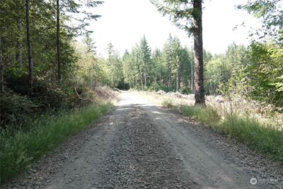 1068 Salmon Creek Rd , Mossyrock, WA 98564 - Photo 17