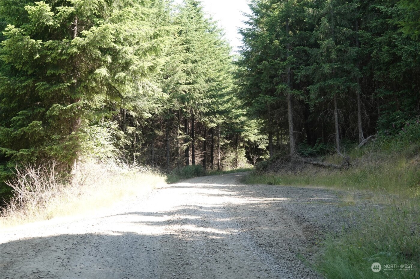 1068 Salmon Creek Rd , Mossyrock, WA 98564