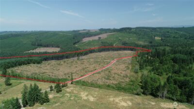 1068 Salmon Creek Rd , Mossyrock, WA 98564 - Photo 2