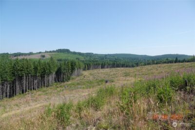 1068 Salmon Creek Rd , Mossyrock, WA 98564 - Photo 21