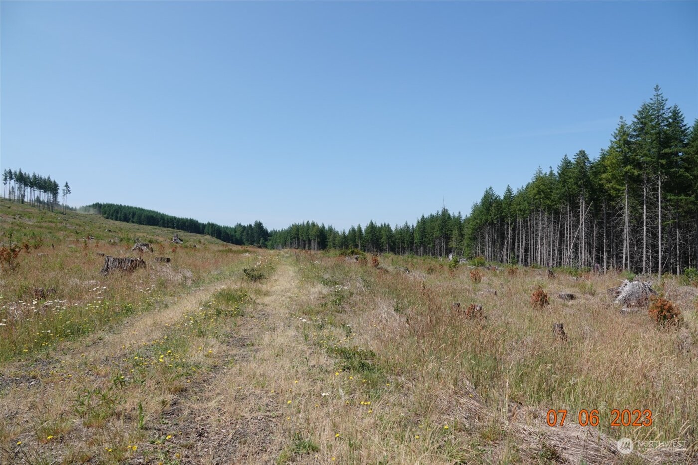 1068 Salmon Creek Rd , Mossyrock, WA 98564