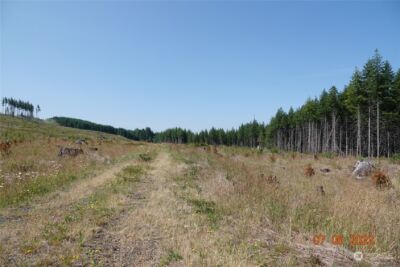 1068 Salmon Creek Rd , Mossyrock, WA 98564 - Photo 23