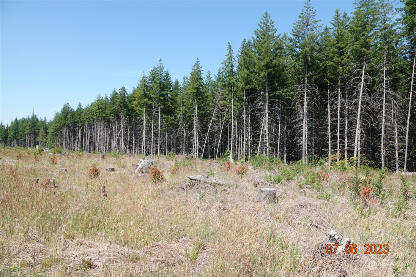 1068 Salmon Creek Rd , Mossyrock, WA 98564