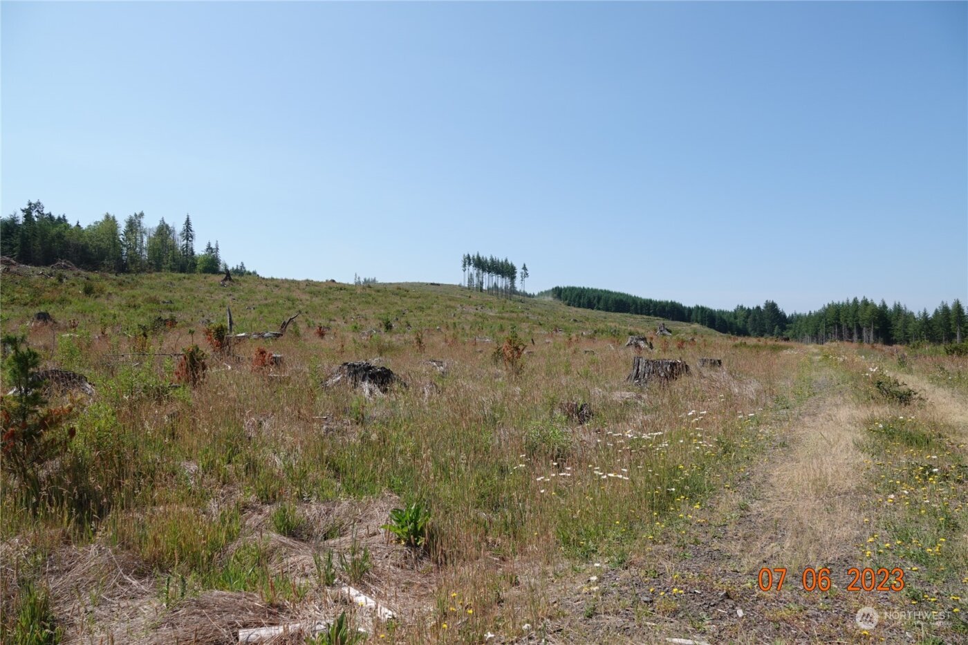 1068 Salmon Creek Rd , Mossyrock, WA 98564