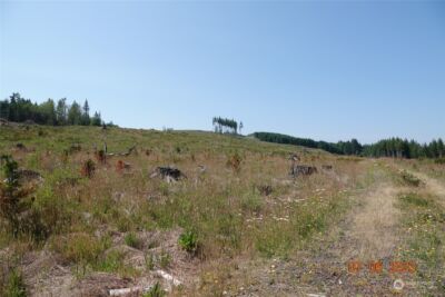 1068 Salmon Creek Rd , Mossyrock, WA 98564 - Photo 25