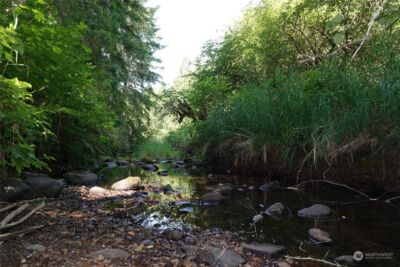 1068 Salmon Creek Rd , Mossyrock, WA 98564 - Photo 27