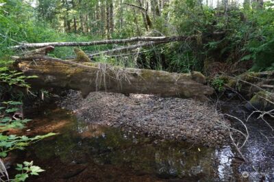 1068 Salmon Creek Rd , Mossyrock, WA 98564 - Photo 28