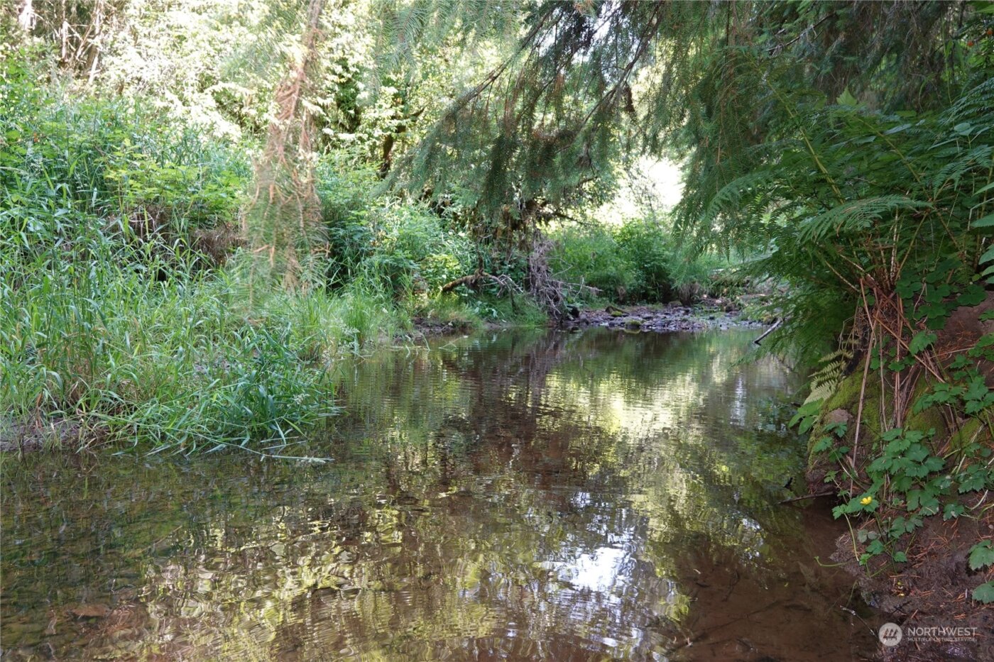 1068 Salmon Creek Rd , Mossyrock, WA 98564