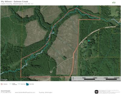 1068 Salmon Creek Rd , Mossyrock, WA 98564 - Photo 3