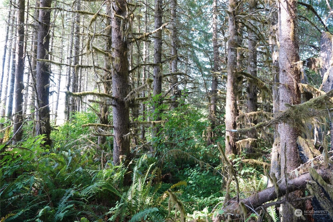 1068 Salmon Creek Rd , Mossyrock, WA 98564