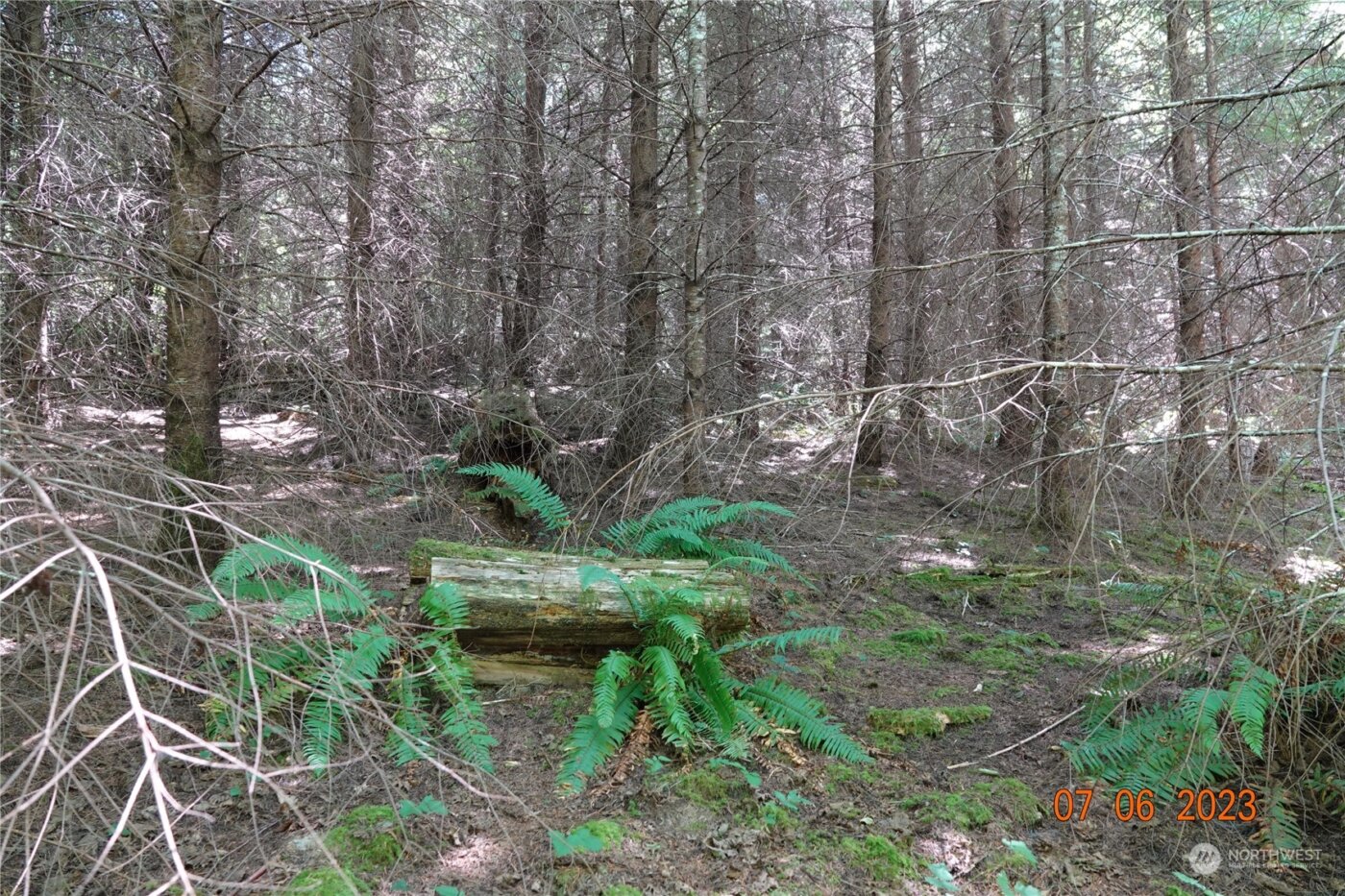 1068 Salmon Creek Rd , Mossyrock, WA 98564