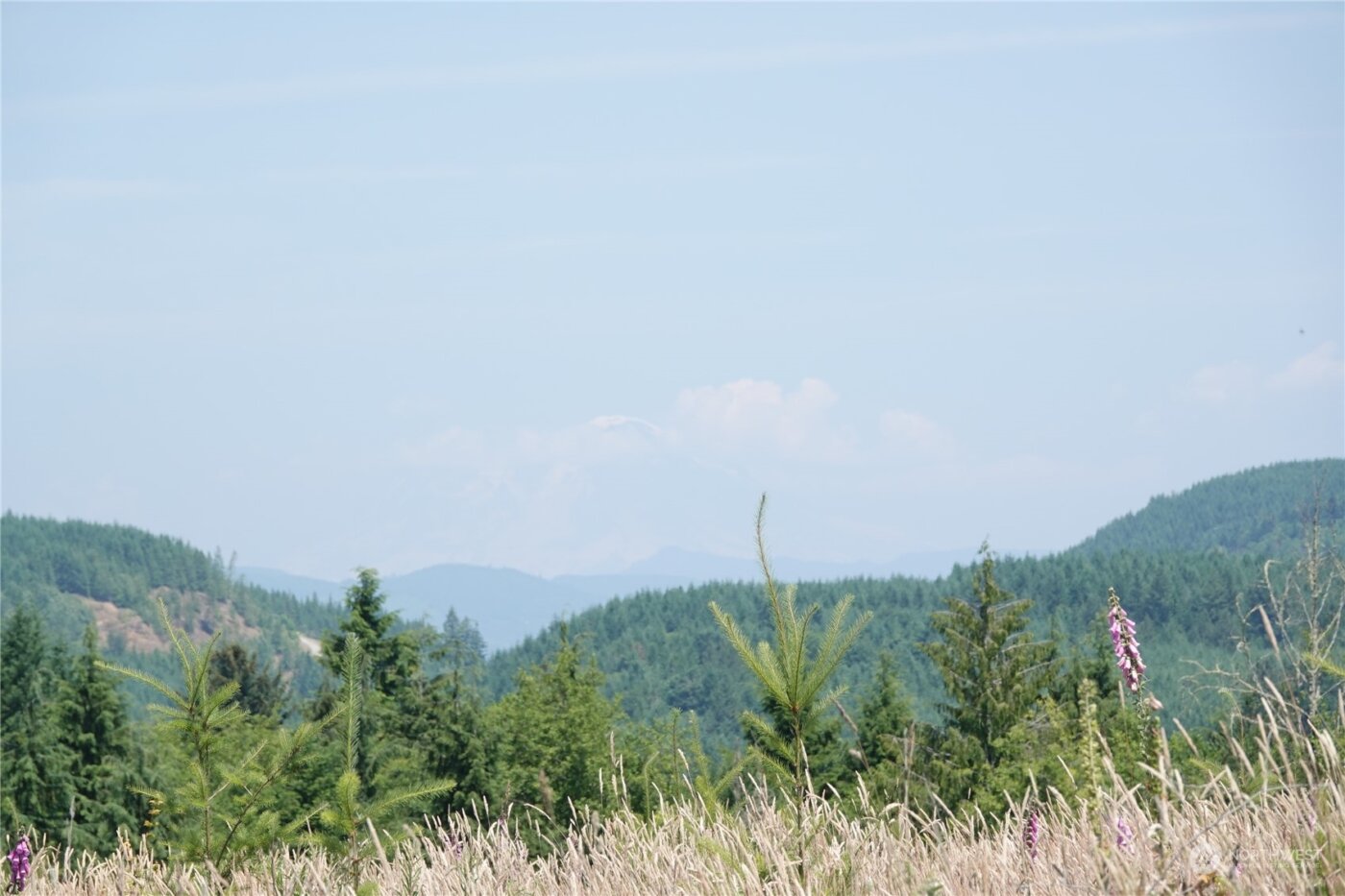 1068 Salmon Creek Rd , Mossyrock, WA 98564