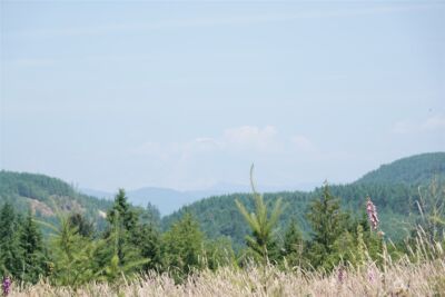 1068 Salmon Creek Rd , Mossyrock, WA 98564 - Photo 36