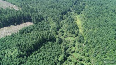 1068 Salmon Creek Rd , Mossyrock, WA 98564 - Photo 7