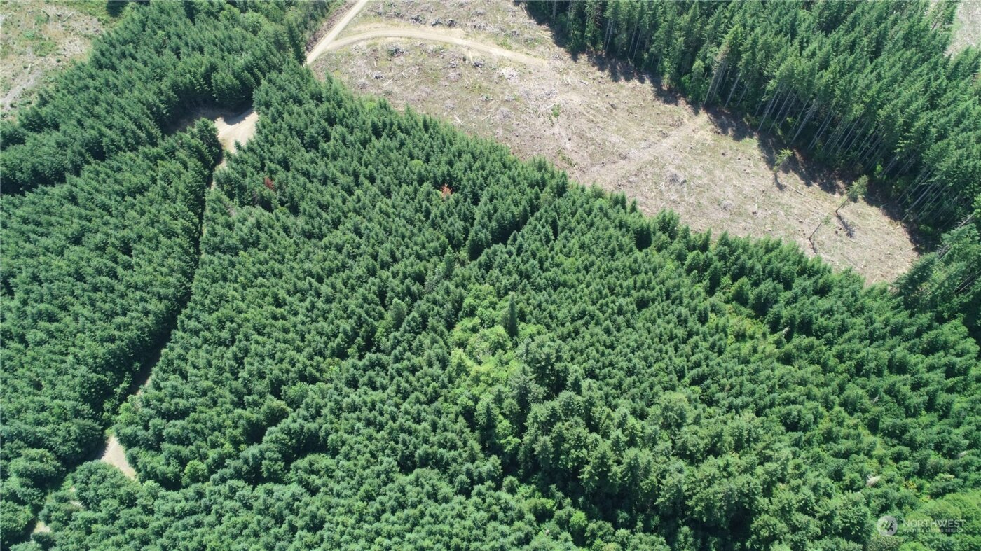 1068 Salmon Creek Rd , Mossyrock, WA 98564