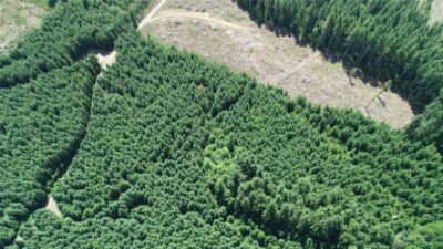 1068 Salmon Creek Rd , Mossyrock, WA 98564 - Photo 8