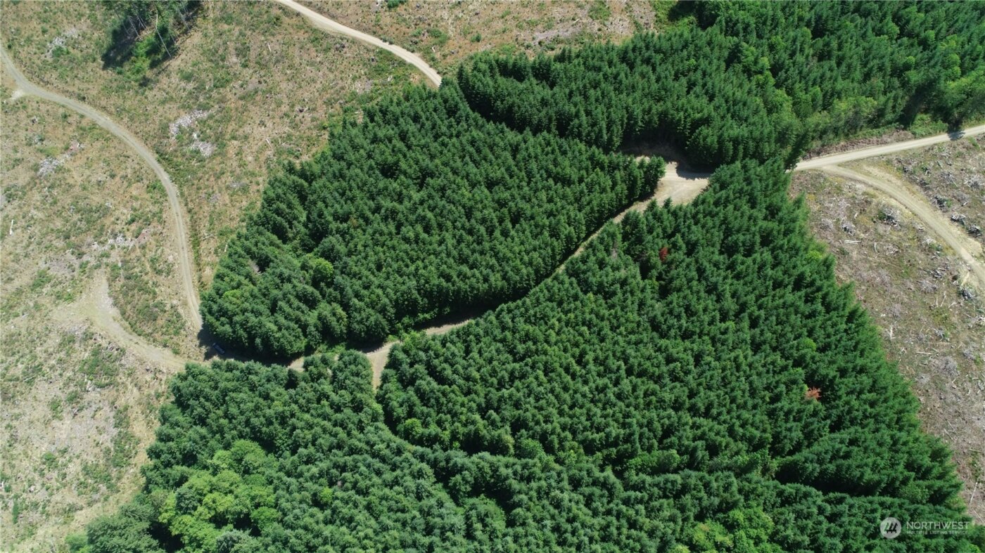 1068 Salmon Creek Rd , Mossyrock, WA 98564