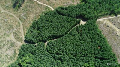 1068 Salmon Creek Rd , Mossyrock, WA 98564 - Photo 9