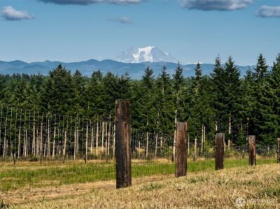 527 Tennessee Road , Winlock, WA 98596 - Photo 3