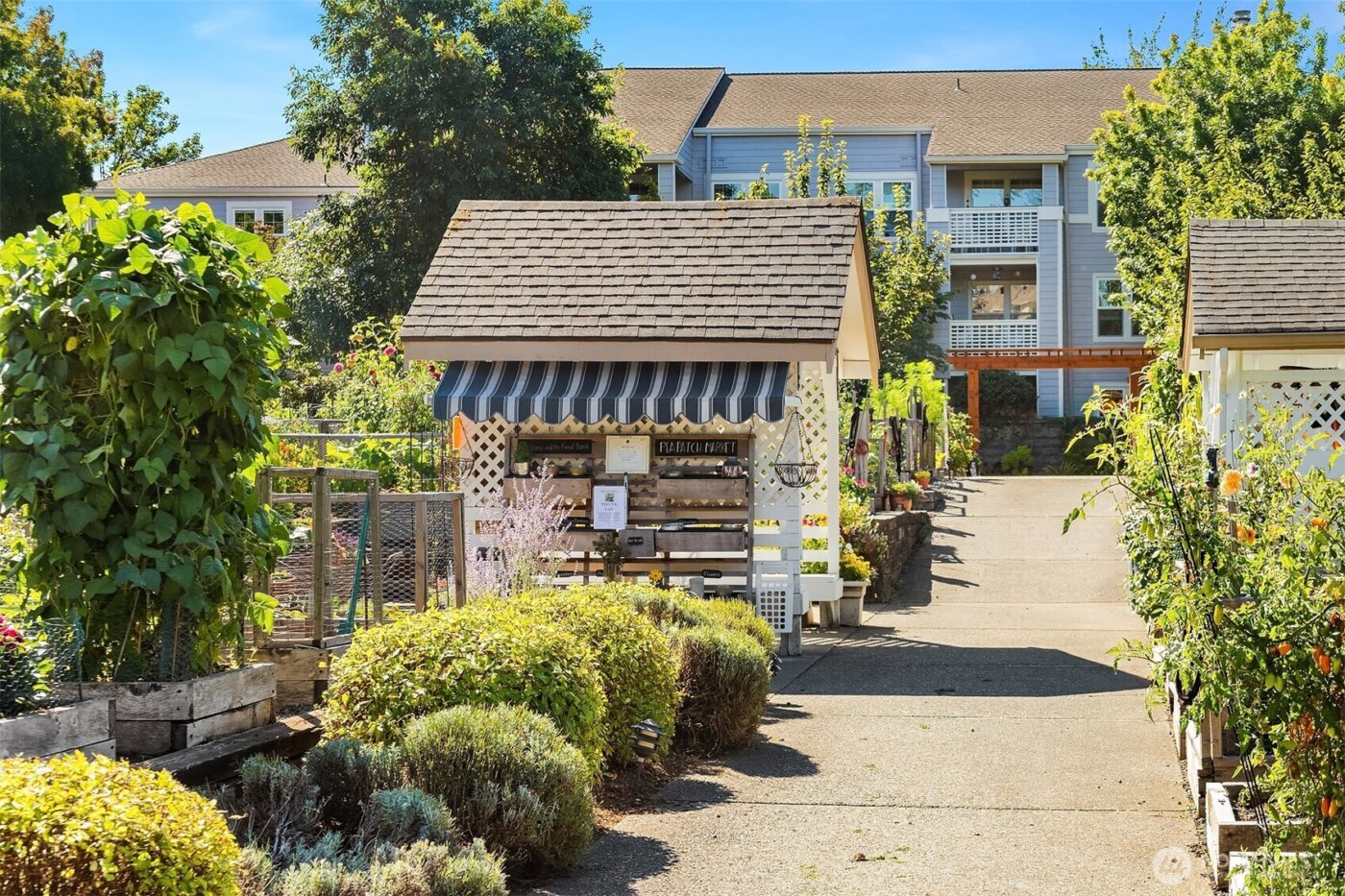 4535 Providence Point Place SE #103, Issaquah, WA 98029