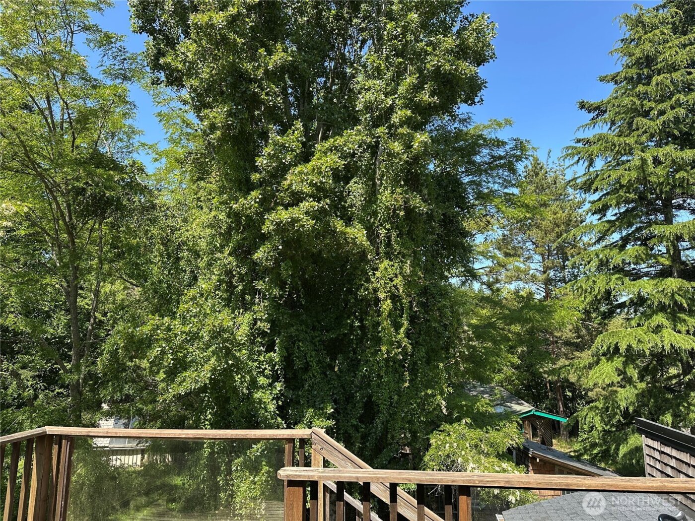 641 Decatur Head Drive , Decatur Island, WA 98221