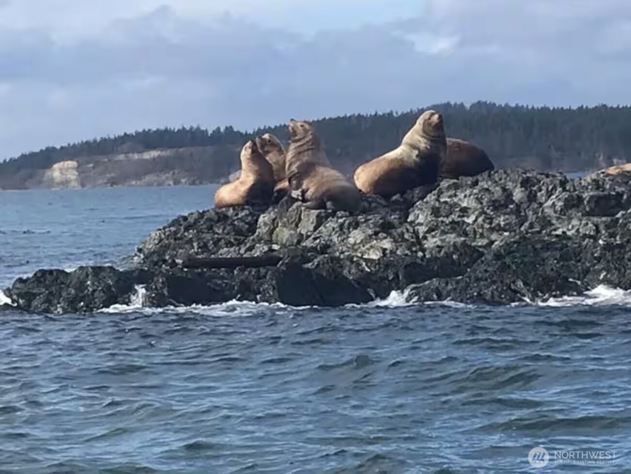 641 Decatur Head Drive , Decatur Island, WA 98221