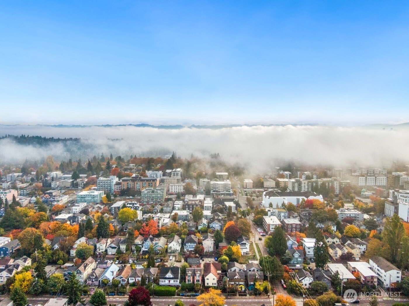 5210 11th Avenue NE #1-5, Seattle, WA 98105-3561