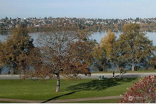 7103 Linden Avenue N #1-5, Seattle, WA 98103-5176