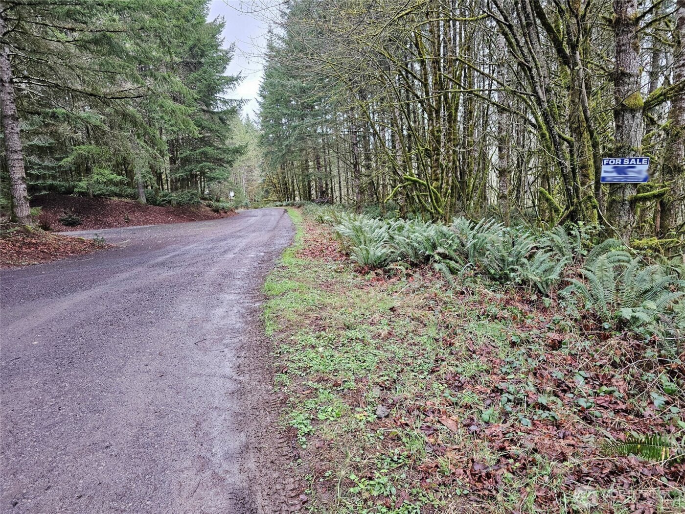 461 Clearwater Road , Kelso, WA 98626